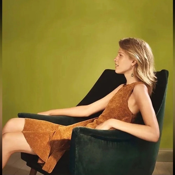NWT‎ Anthropologie Amis velvet lace dress by Maeve - Picture 8 of 8